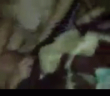 Красивая devushka сосет член узбеку и жестоко занимается домашним сексом